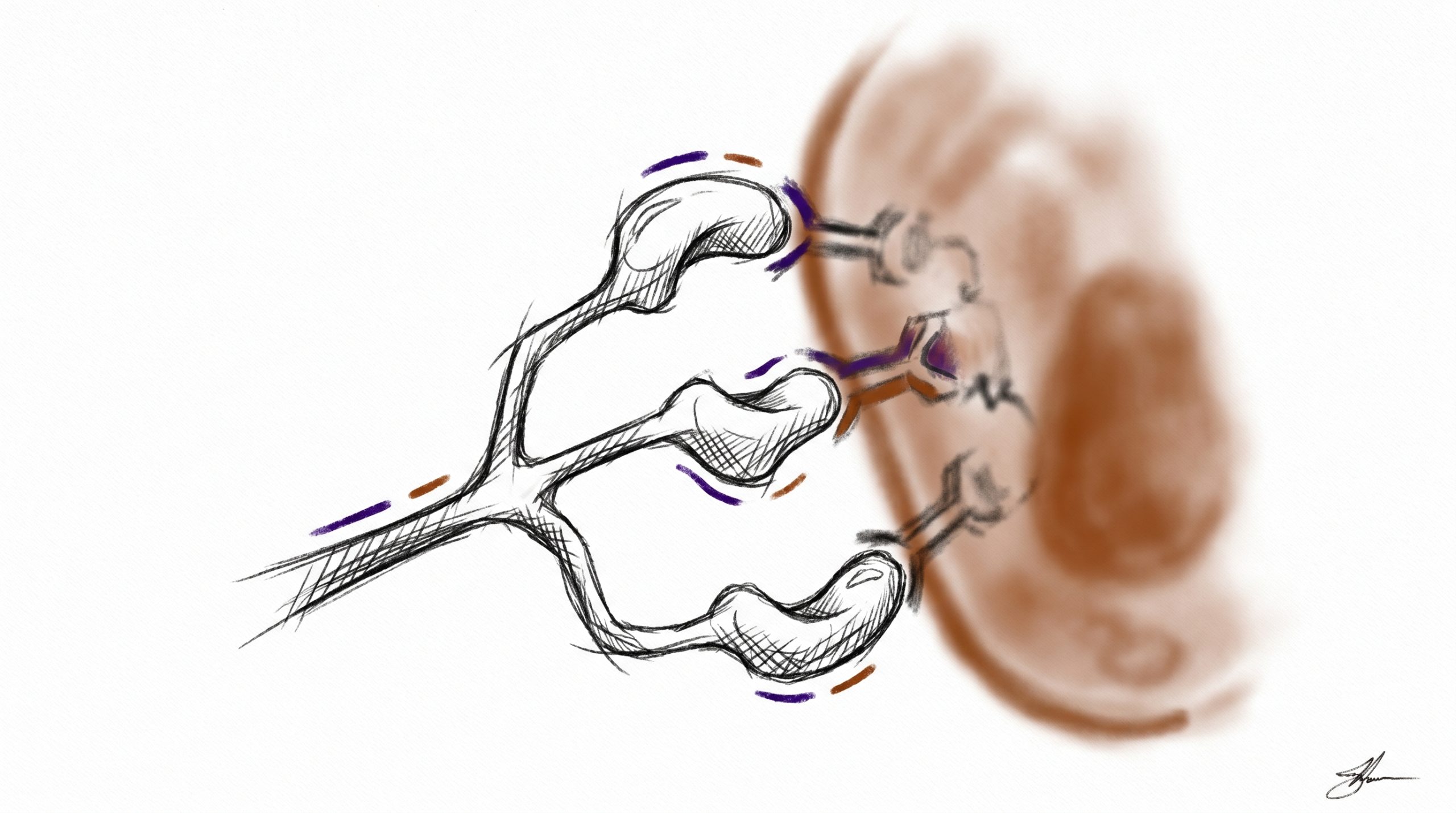 Retatrutide Research Guide: Triple Agonist Mechanism & Published Studies