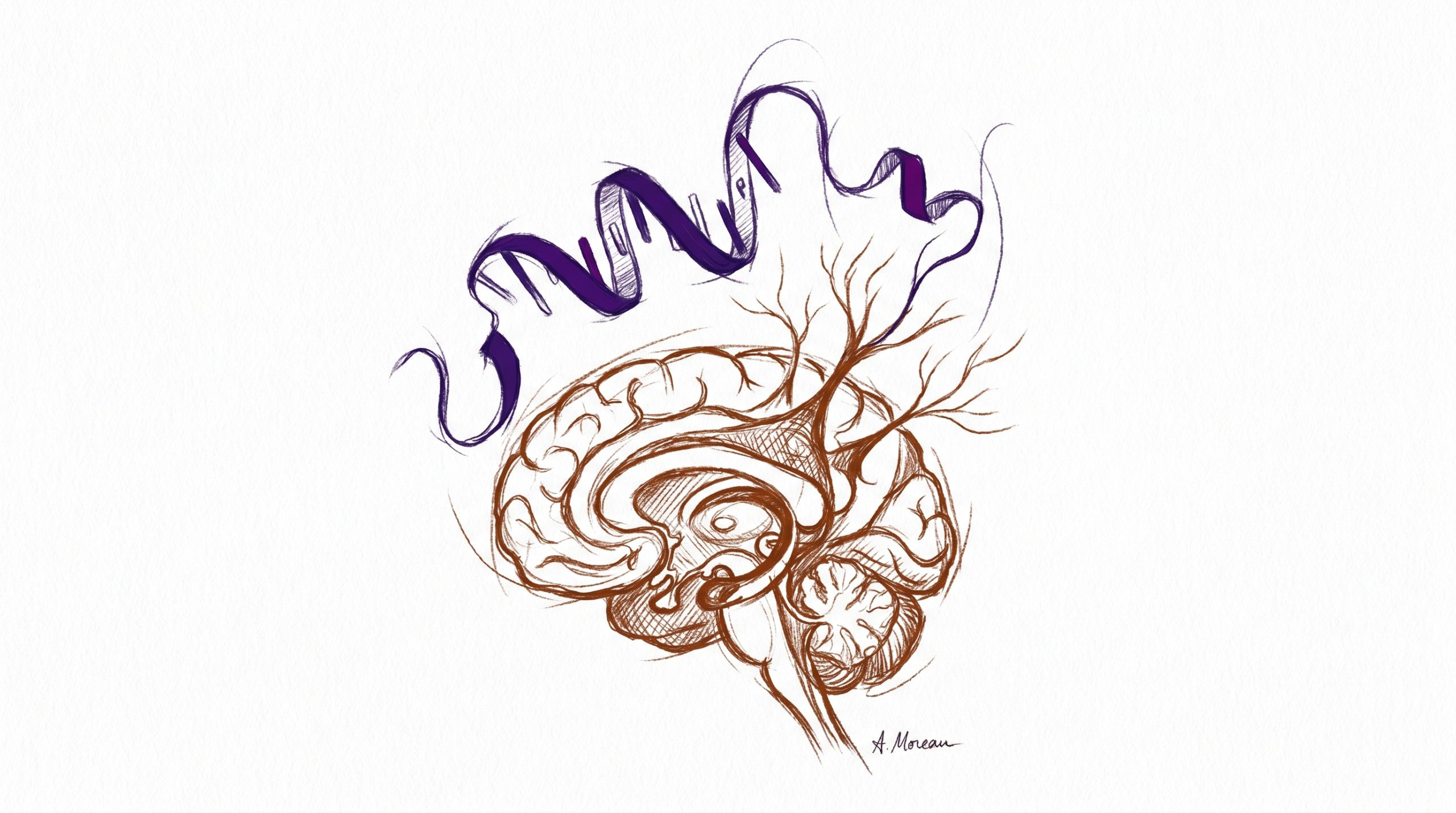 Semax Research Guide: ACTH 4-10 Fragment & Neurotrophic Biology